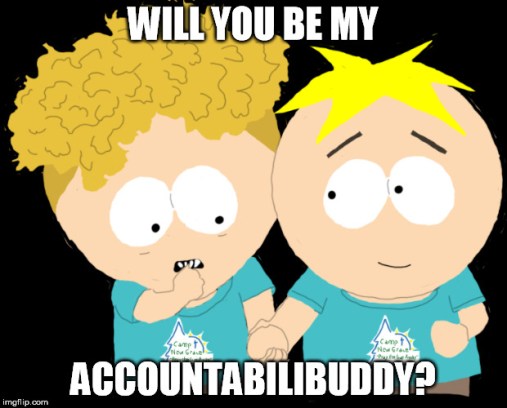 Accountabilibuddies